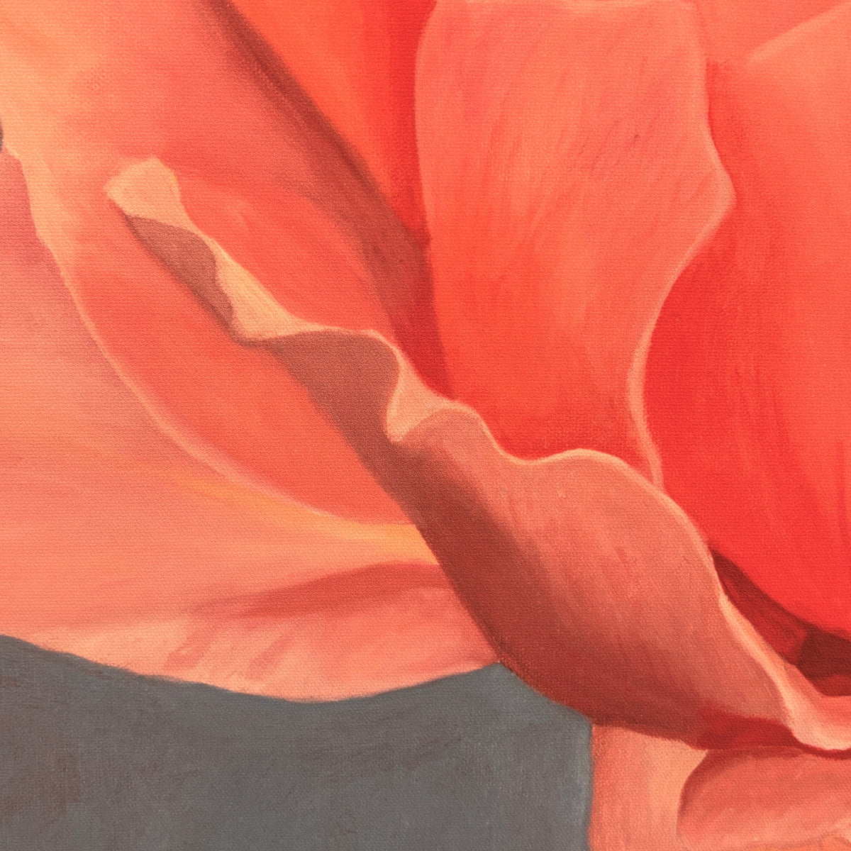 print of a peach rose